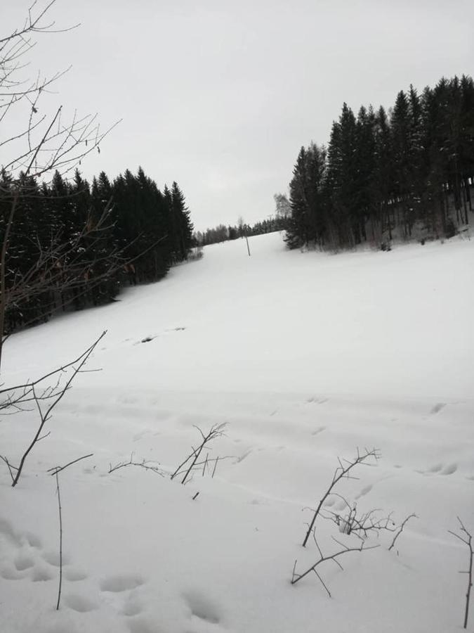 Chaloupka U Lisaka Villa Snezne  Buitenkant foto