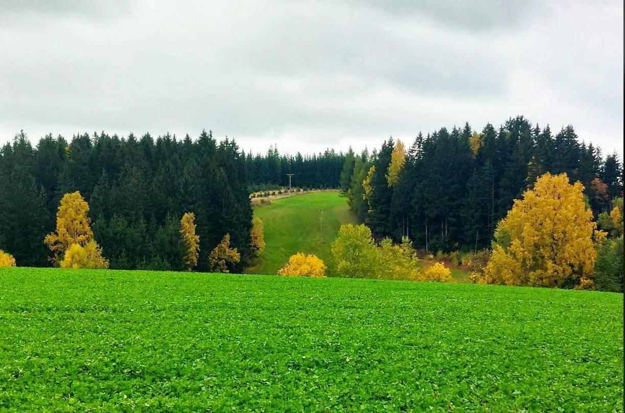 Chaloupka U Lisaka Villa Snezne  Buitenkant foto